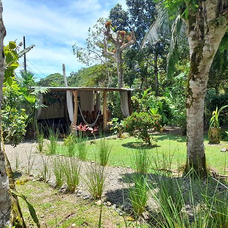 Hotel El Colibri Rojo - Cabinas - Le Colibri Rouge Cahuita Phòng bức ảnh