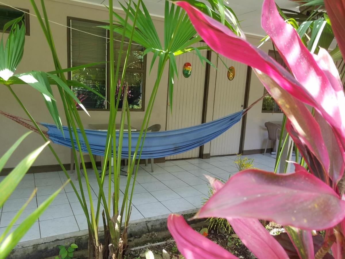 Hotel El Colibri Rojo - Cabinas - Le Colibri Rouge Cahuita Ngoại thất bức ảnh