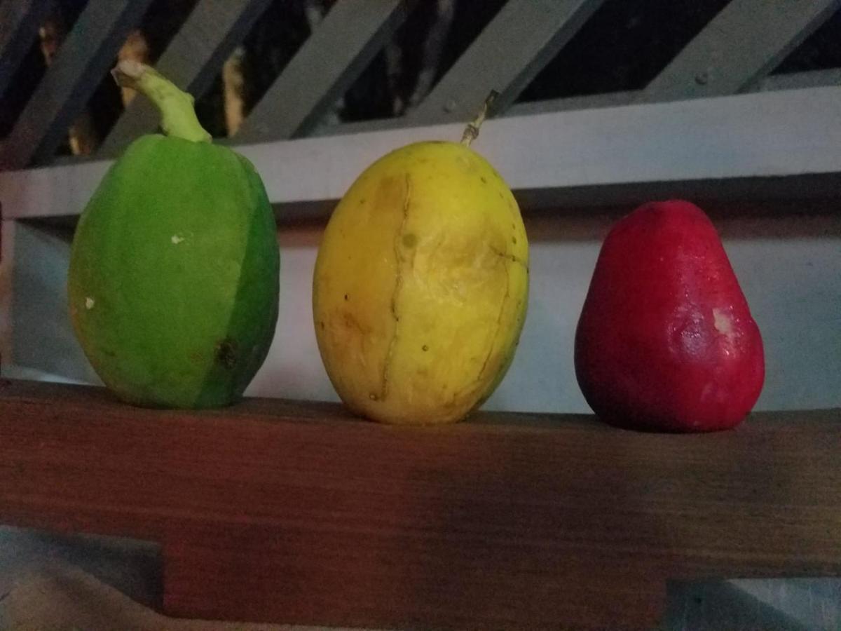 Hotel El Colibri Rojo - Cabinas - Le Colibri Rouge Cahuita Ngoại thất bức ảnh