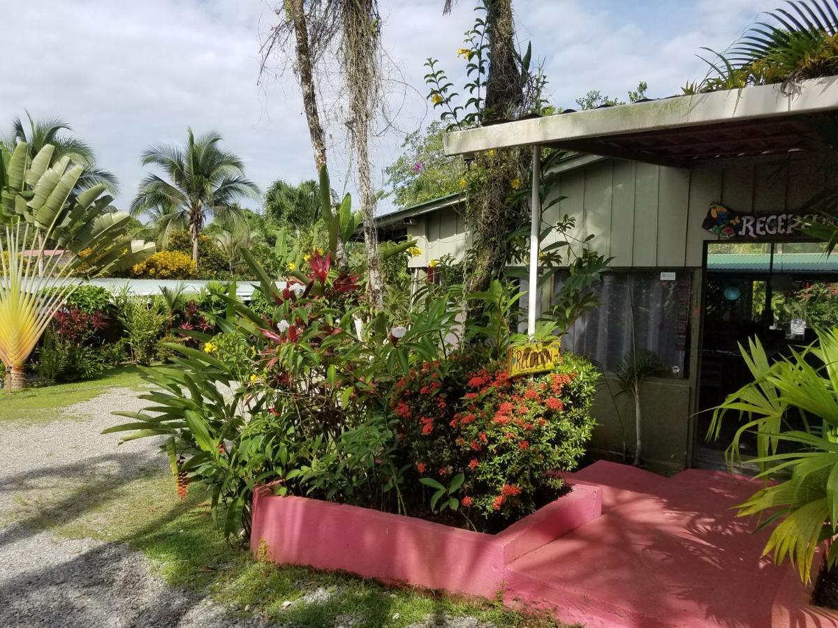 Hotel El Colibri Rojo - Cabinas - Le Colibri Rouge Cahuita Ngoại thất bức ảnh