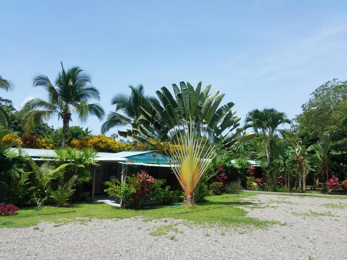 Hotel El Colibri Rojo - Cabinas - Le Colibri Rouge Cahuita Ngoại thất bức ảnh