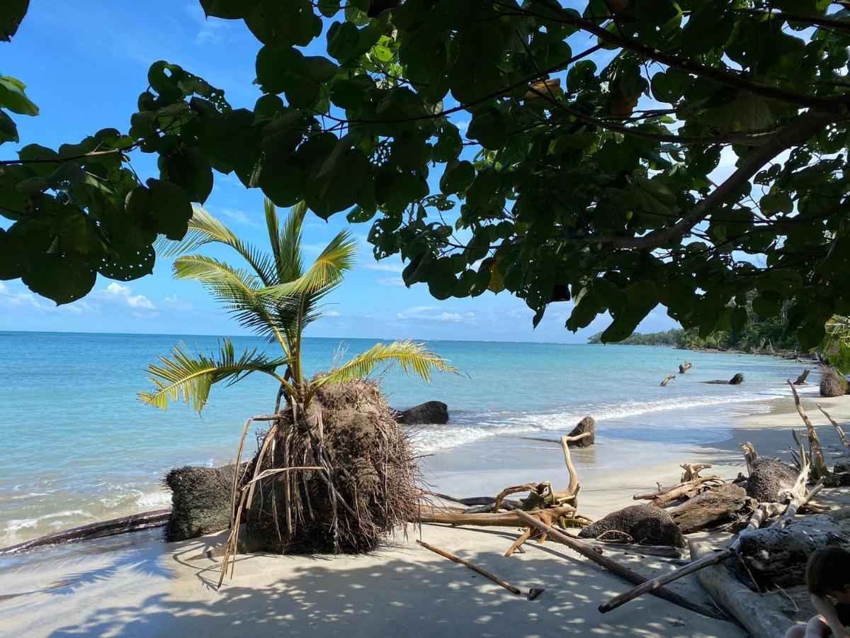 Hotel El Colibri Rojo - Cabinas - Le Colibri Rouge Cahuita Ngoại thất bức ảnh