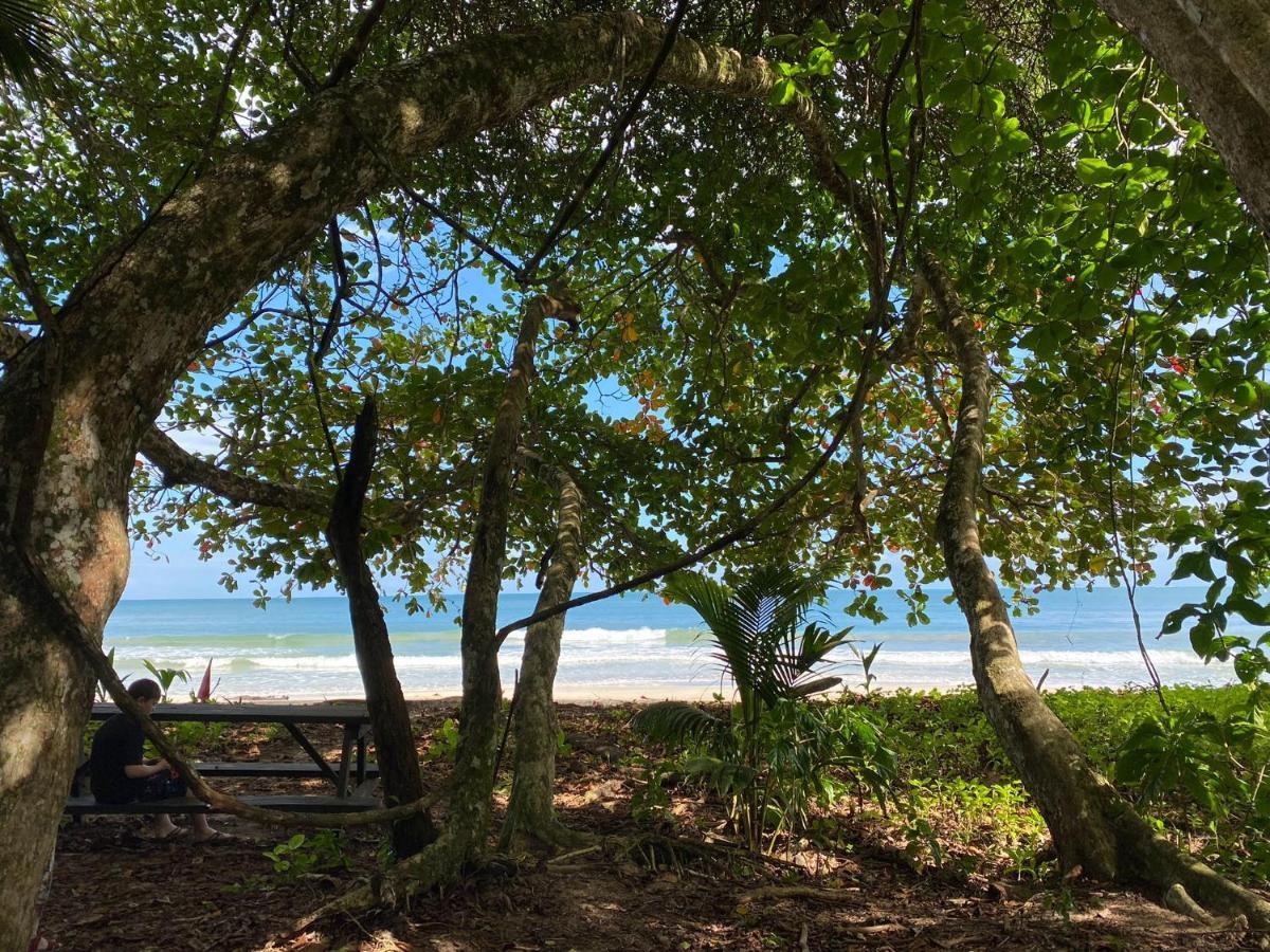 Hotel El Colibri Rojo - Cabinas - Le Colibri Rouge Cahuita Ngoại thất bức ảnh