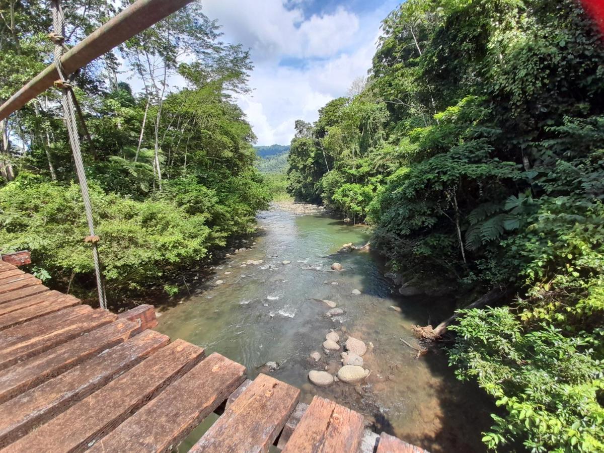 Hotel El Colibri Rojo - Cabinas - Le Colibri Rouge Cahuita Ngoại thất bức ảnh