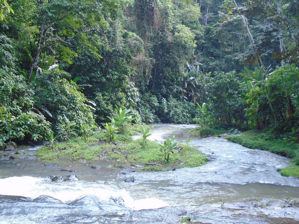 Hotel El Colibri Rojo - Cabinas - Le Colibri Rouge Cahuita Ngoại thất bức ảnh
