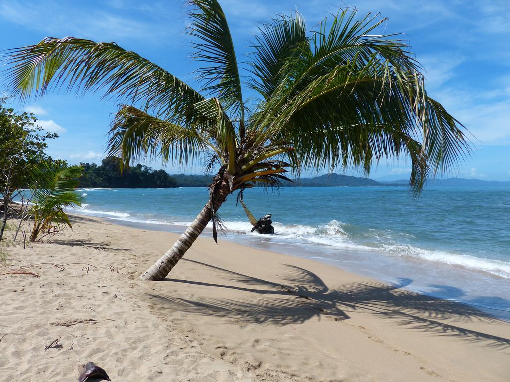 Hotel El Colibri Rojo - Cabinas - Le Colibri Rouge Cahuita Ngoại thất bức ảnh