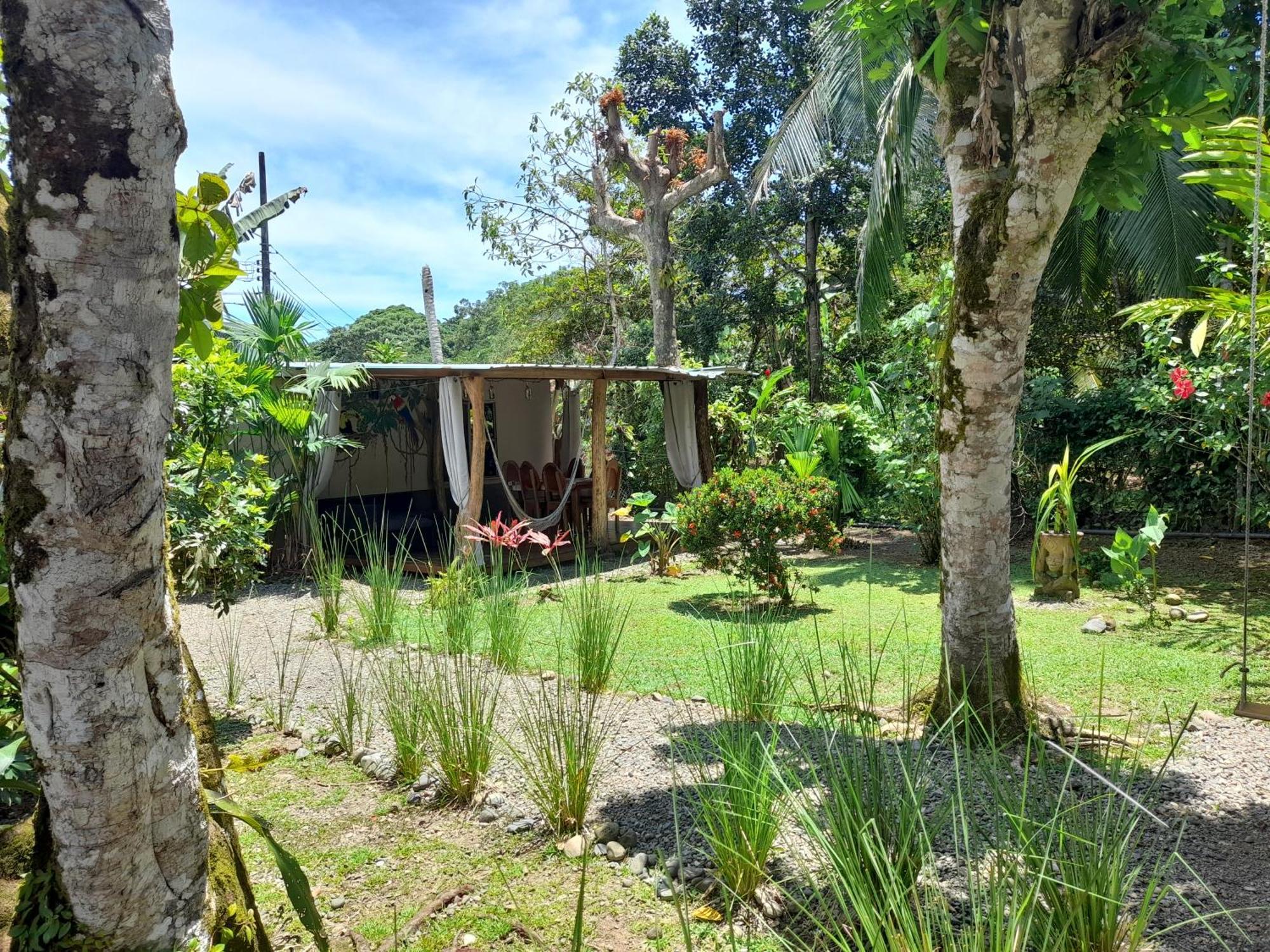 Hotel El Colibri Rojo - Cabinas - Le Colibri Rouge Cahuita Phòng bức ảnh